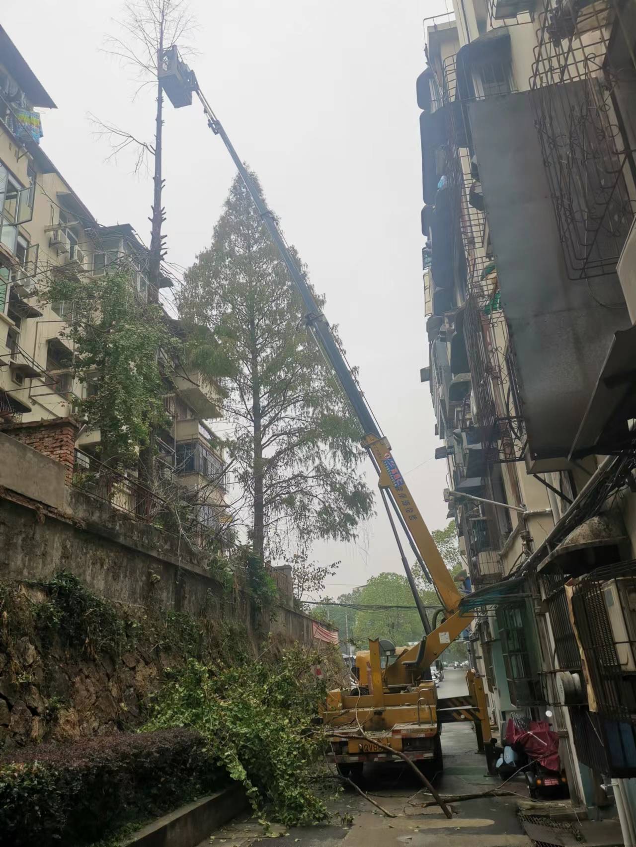 微信图片_20221118153427.jpg 微信图片_20221118153427.jpg