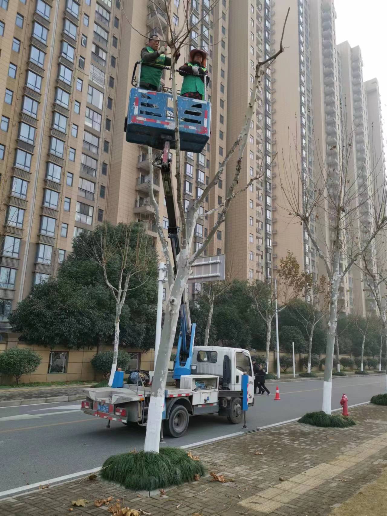 登高车修剪树枝现场，用车安全