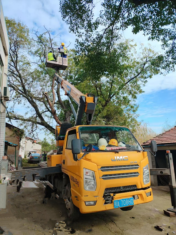 18米登高车载人修剪古树施工现场